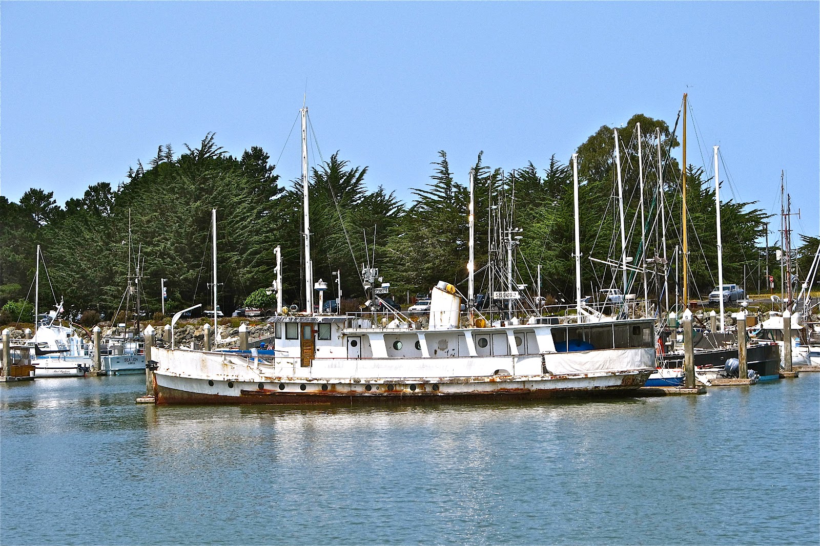 "CALGARY STAMPEDE TRIP" "HUMBOLDT BAY WATERFRONT IN EUREKA, CA"