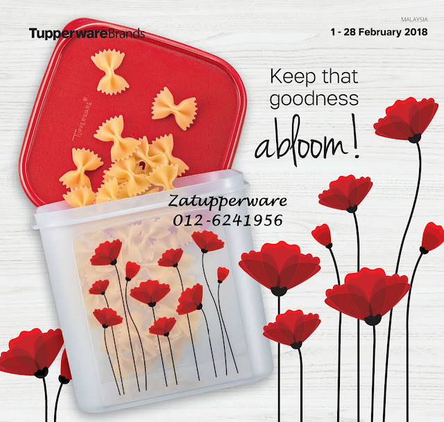 Tupperware Mini Catalogue 1st February - 28th February 2018