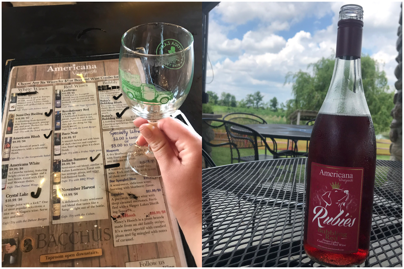 All Day Finger Lakes Wine Tour My Girlish Whims