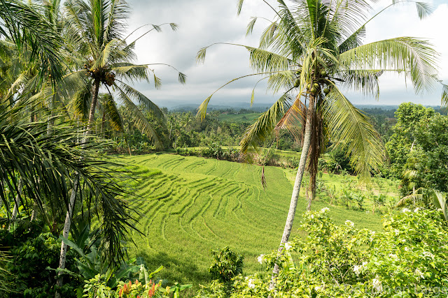 Route d’Antosari à Pemuteran - Bali