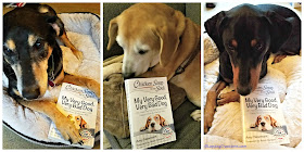 chicken soup for the soul dog book rescue dogs