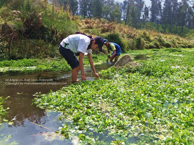 Jalur Pendakian Gunung Argopuro via Baderan