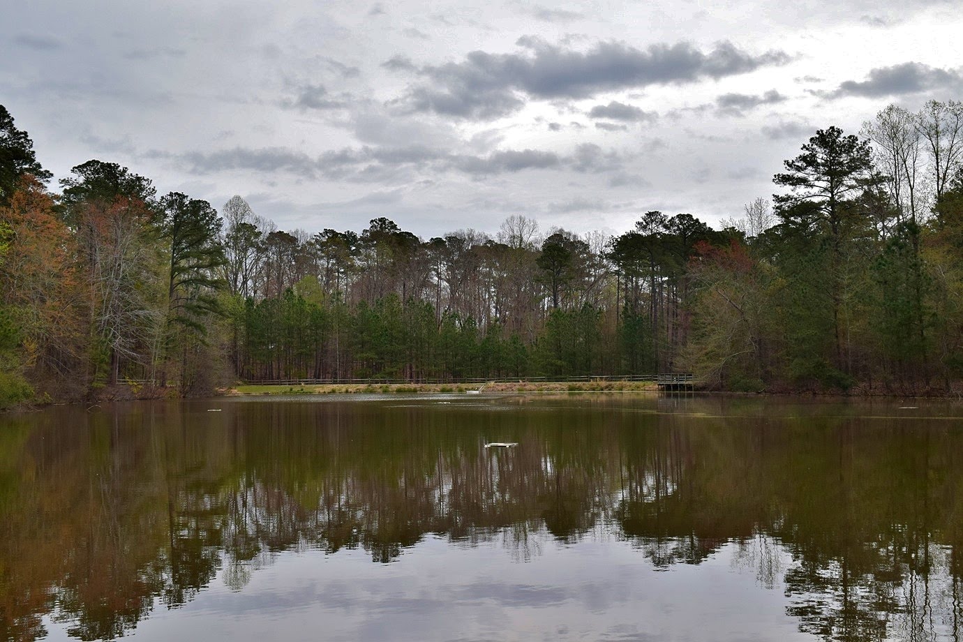 Waterfall Hero Hikes Crowder District Park