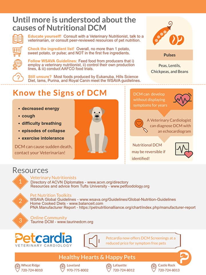 Pet food news Truth about brewer's rice in dog food and grainfree dog