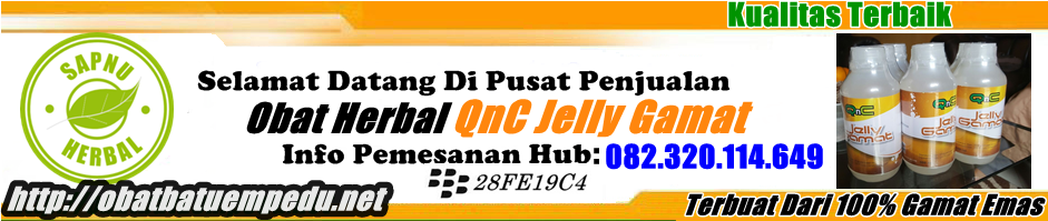 Wulan Agen QnC Jelly Gamat