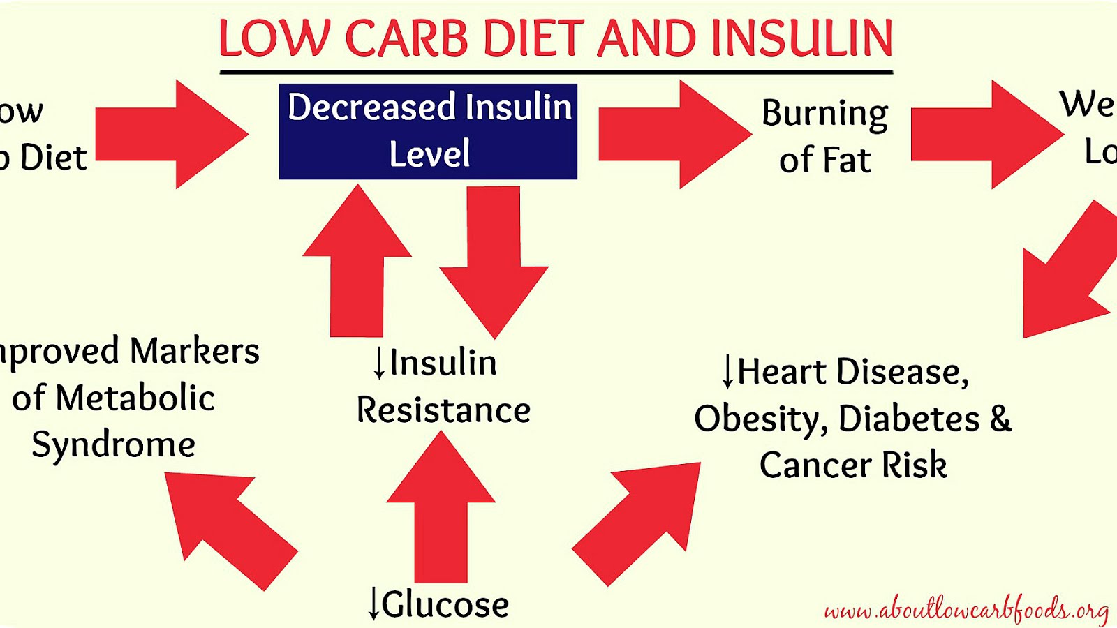 Carbohydrates And Insulin Insulin Choices