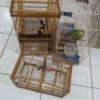 Armas de fogo e animais silvestres são apreendidos em São João do Sóter