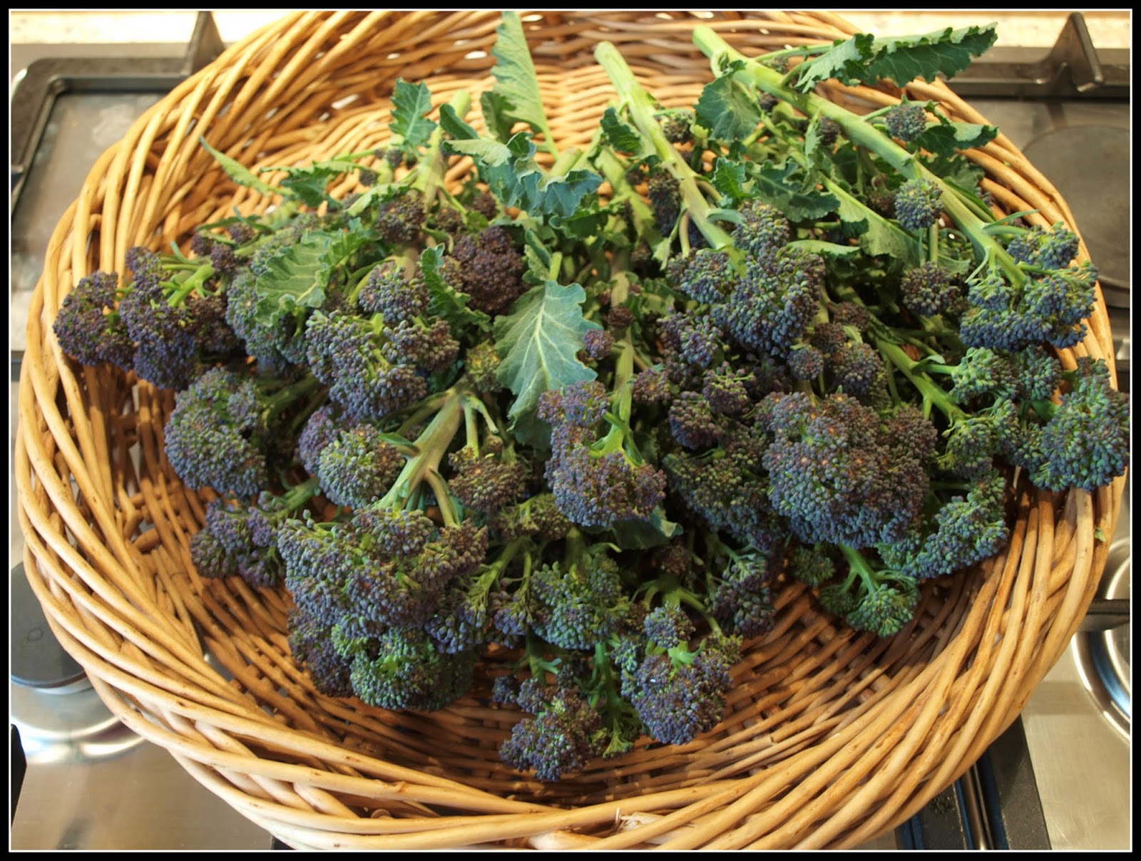 Mark's Veg Plot Harvest Monday Broccoli again!