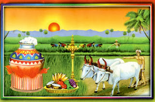 Vismaya: Significance of Events & Festivals in Tamil Calendar