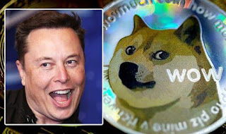 Why You should NOT BUY DOGECOIN? Why is Elon Musk related to it? Why You should NOT BUY DOGECOIN? Why is Elon Musk related to it?