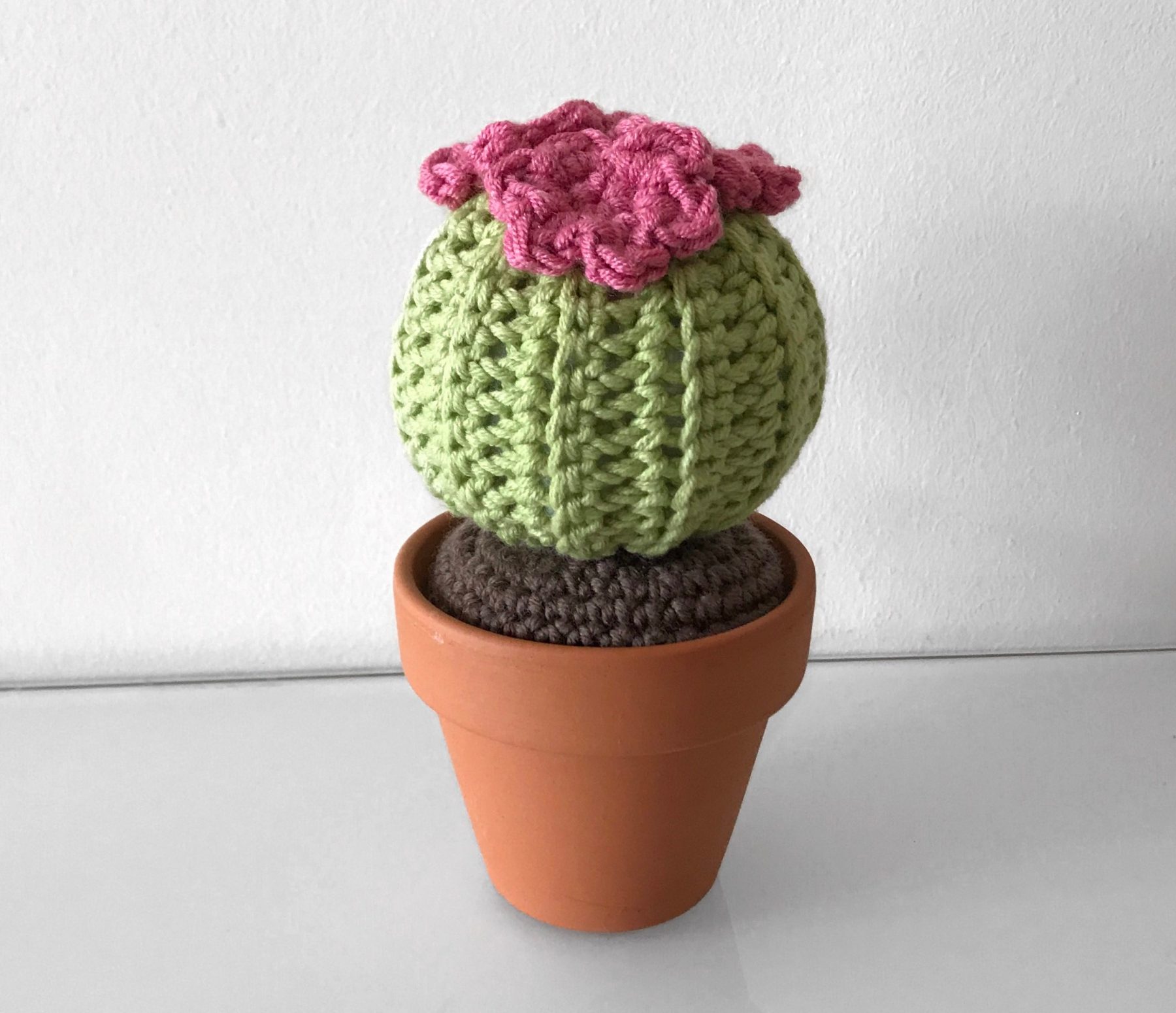 Musings of an Average Mom Free Cactus Themed Crochet Patterns