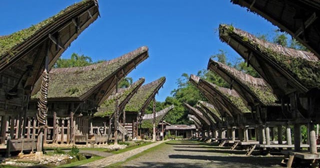 Mengenal Manene Upacara Budaya Khas Suku Toraja yang Unik