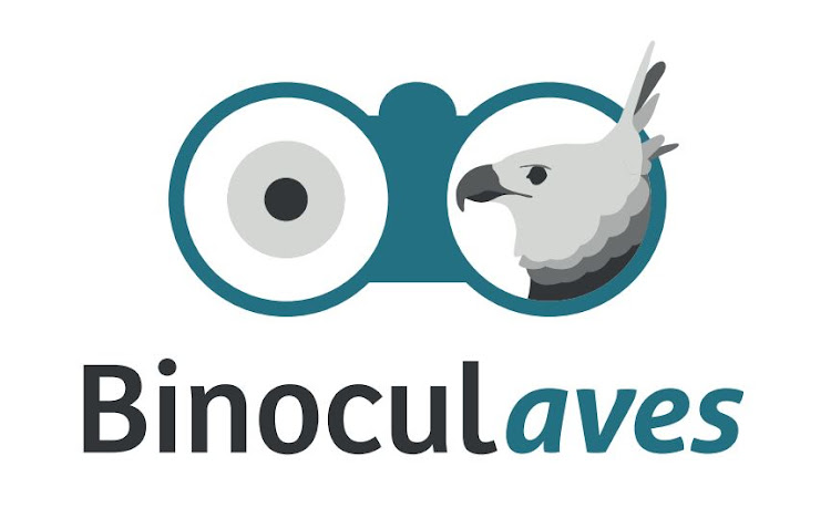 Binoculares para observación de aves / Binóculos para observação de aves