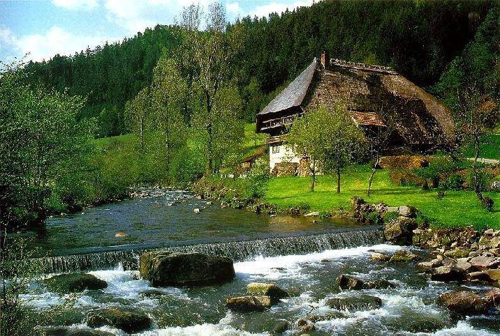 What A Wonderful World: Black Forest Germany