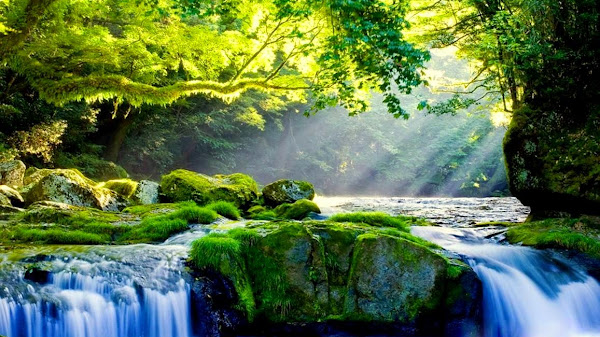 Perjalanan Membawamu Menemukan Makna Kehidupan yang Sebenarnya