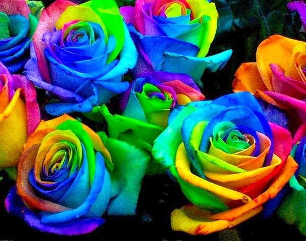La ciencia es bella: ¿Cuántas rosas de cada color?