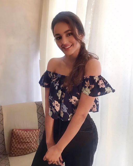 Seerat Kapoor  (Indian Actress) Wiki, Biography, Age, Height, Family, Career, Awards, and Many More...