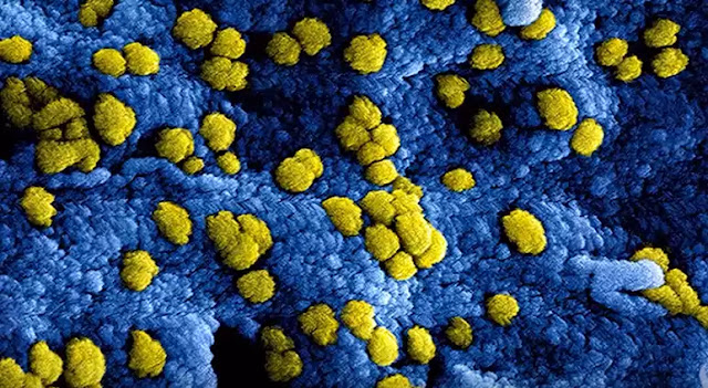 Coronavirus Update Coronavirus Update