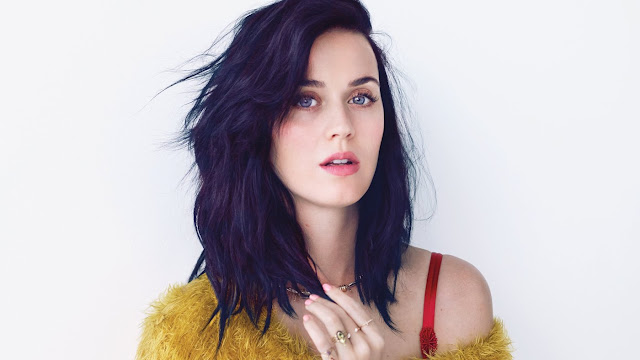 Biodata dan Profil Katy Perry