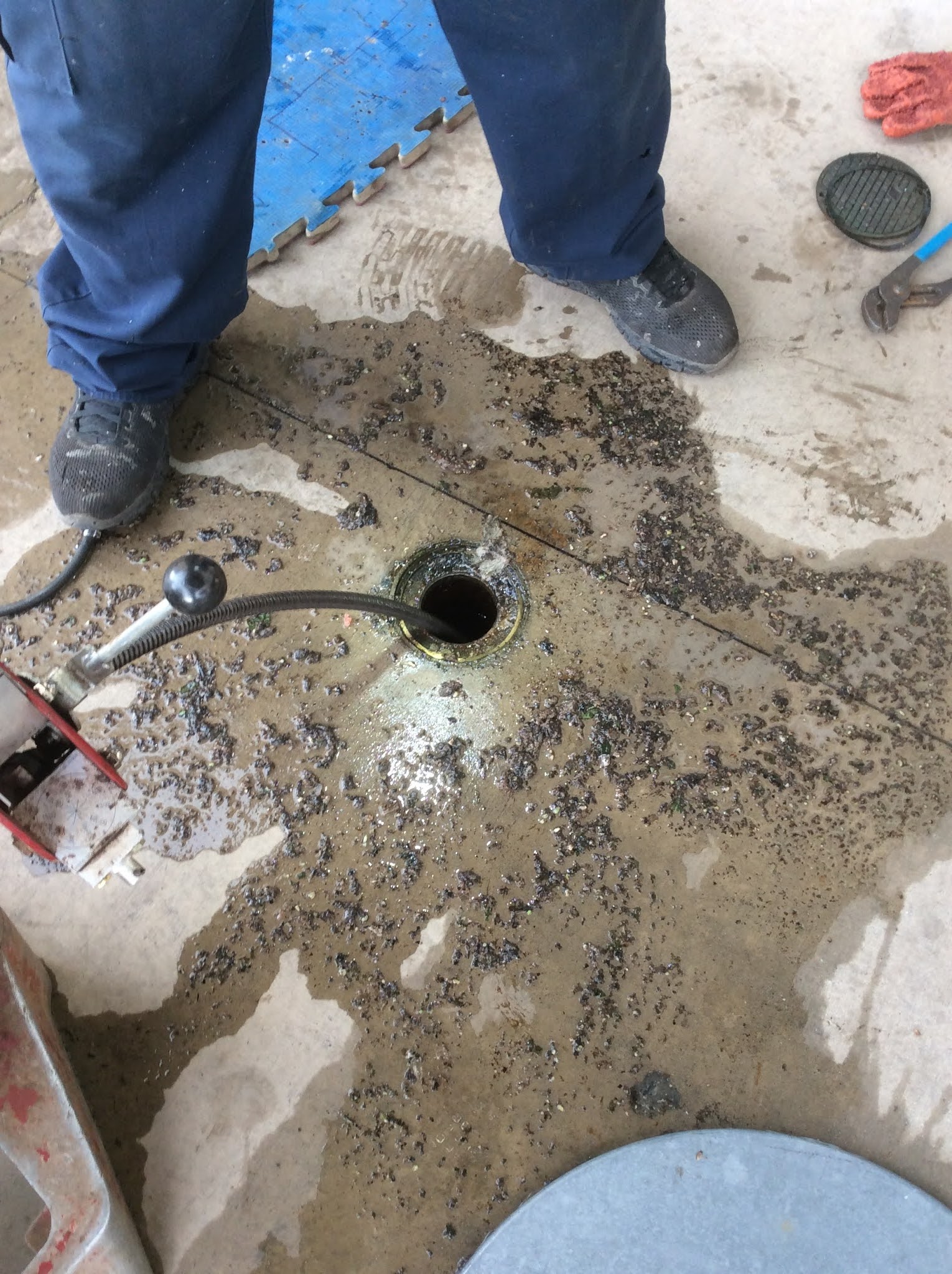 Floor Drain Emergency