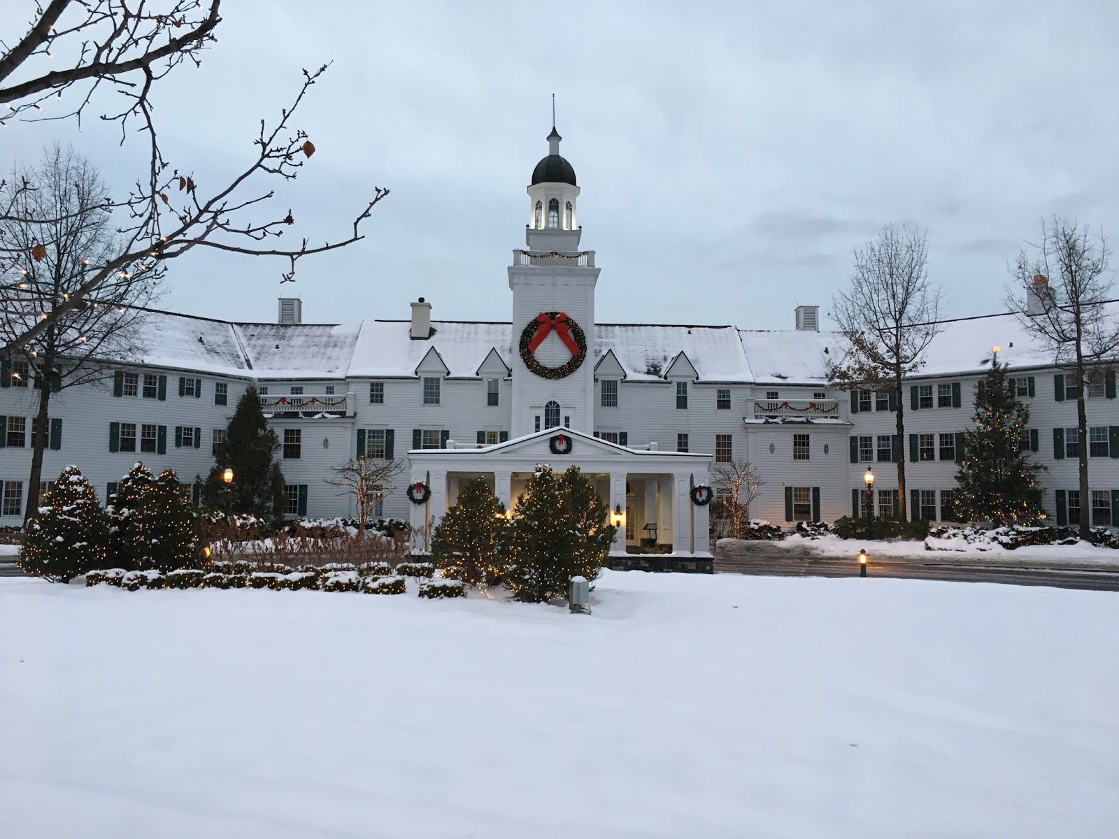 Tangled Roots and Trees Christmas Eve at The Sagamore