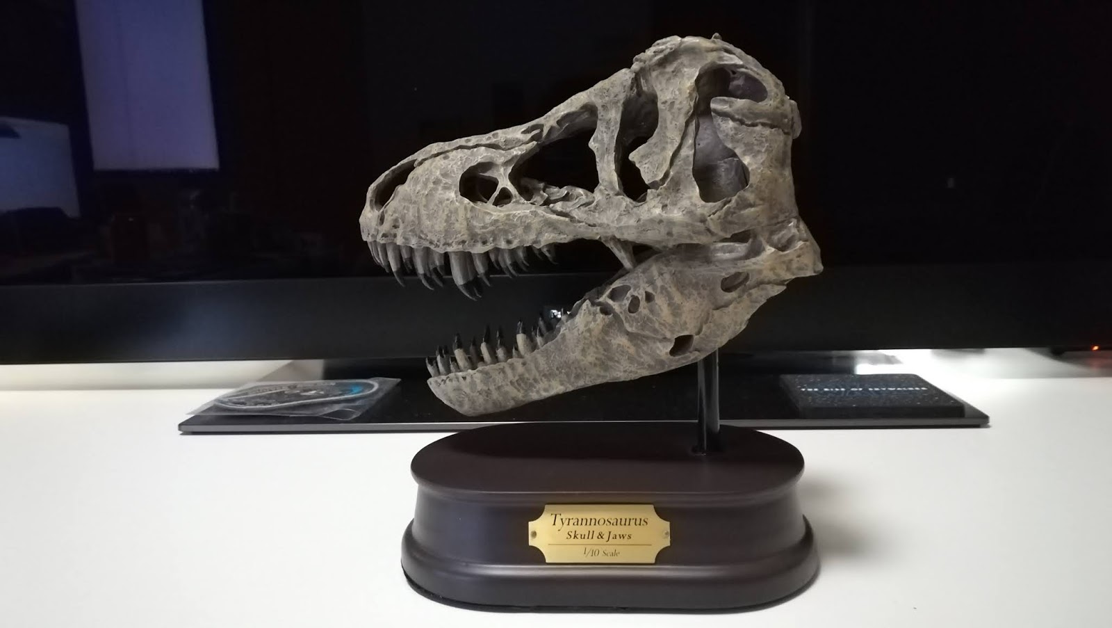 セール！ ティラノサウルス 頭骨 10分の1スケール 通販