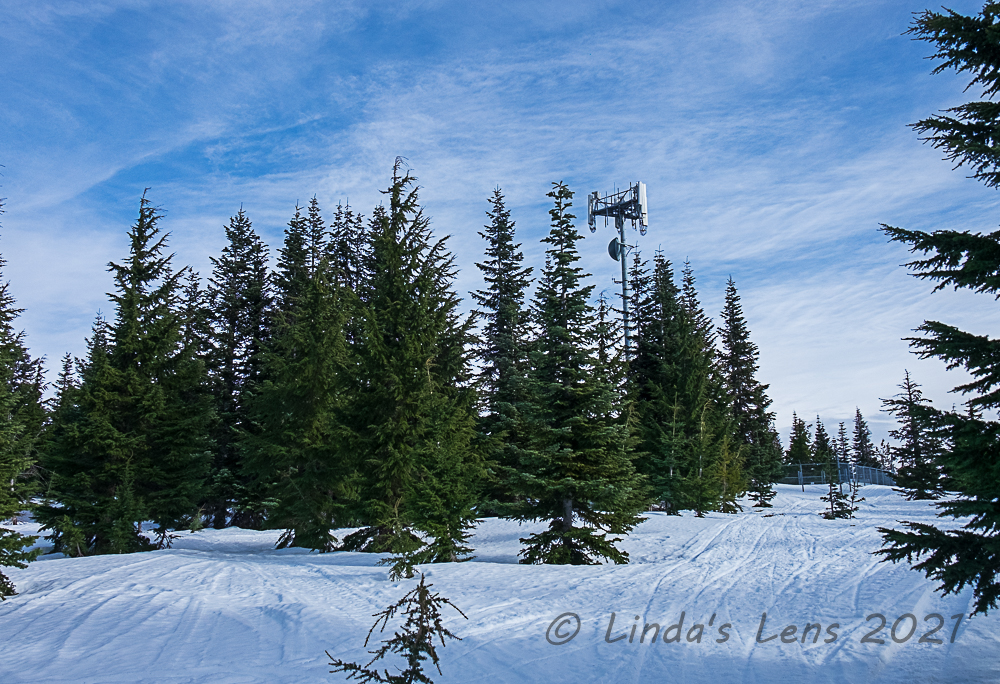Linda's Lens Frog Lake Butte