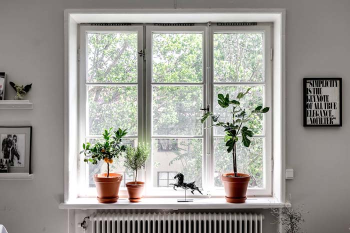 Rentoa ja trendikästä