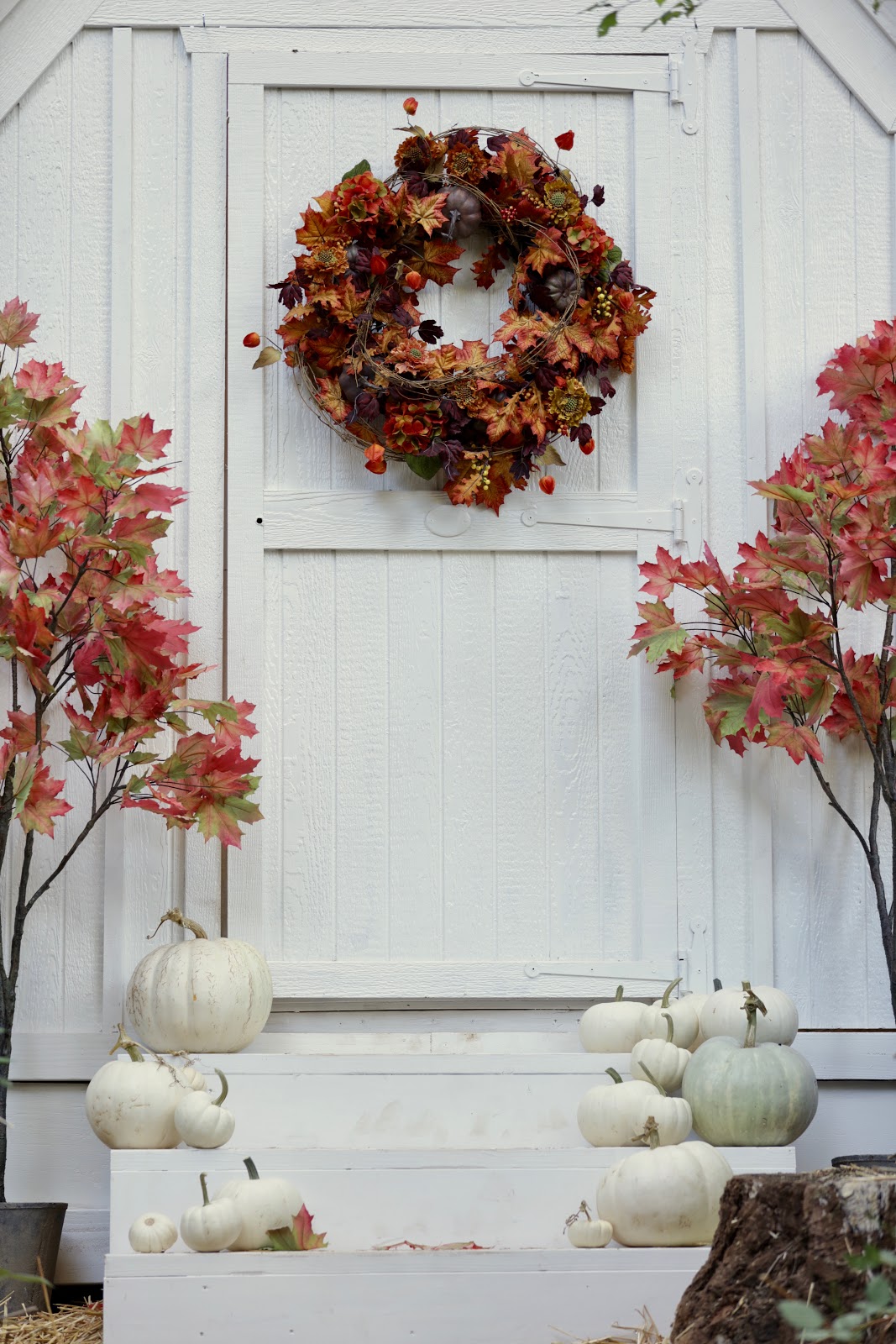 20 minute autumn decorating ideas FRENCH COUNTRY COTTAGE