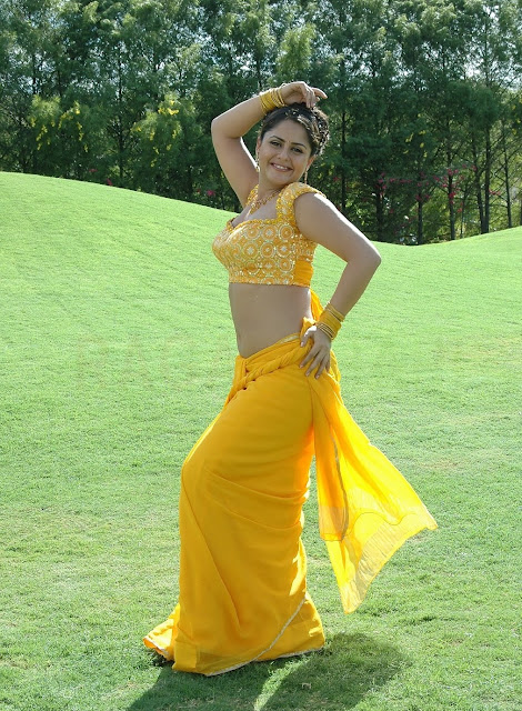 Actress Farzana Navel Show Photos