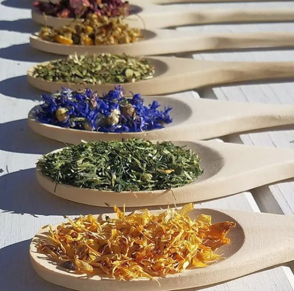 dried herbs on row of wooden spoons