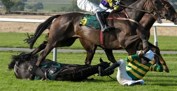 Captivating Winning Horse Put Down After Horror Injury Photo in HD