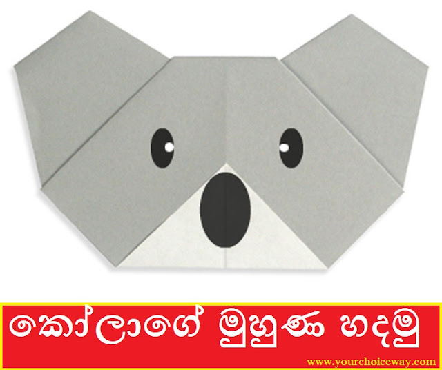 කෝලාගේ මුහුණ හදමු (Origami Koala(Face)) - Your Choice Way