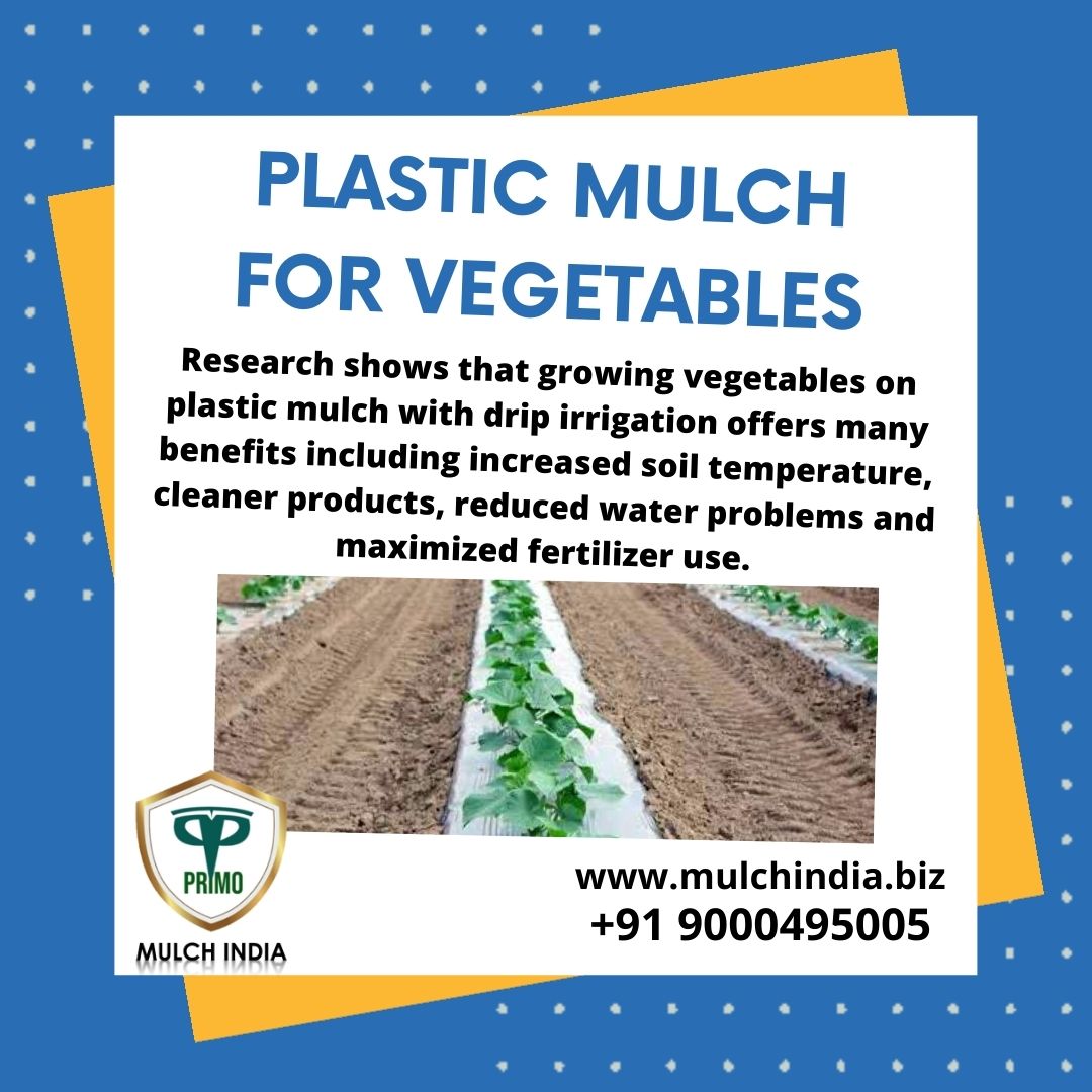 MulchIndia Plastic Mulch for Vegetables Mulch India Call+𝟵𝟭