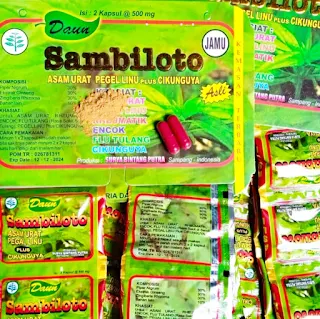 jual kapsul jamu daun sambiloto di jakarta