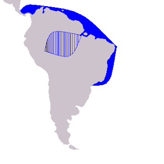 Haliç yunusu doğal yaşam alanı haritası