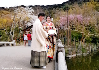 Día 13 - Kyoto (transformación en maiko - Fushimi Inari) - Japón primavera 2016 - 18 días (con bajo presupuesto) (12)