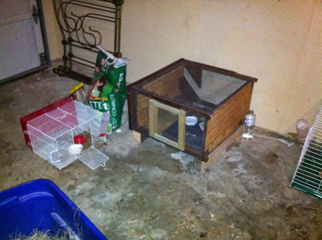 Enlightenment DIY Quail Cage UNDER 35