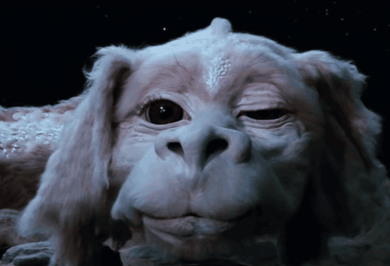 [bearded dragon winking image]