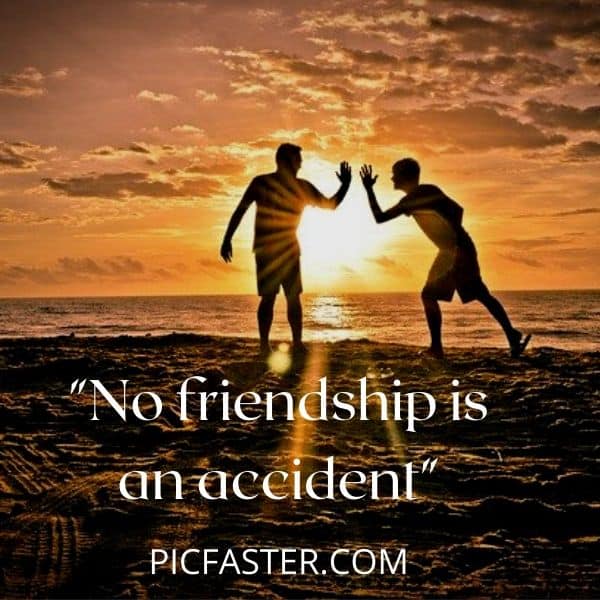 Latest Friends Group Dp With Quotes For Whatsapp [2020]