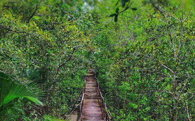 Sundarban Tour Package Booking from Kolakata