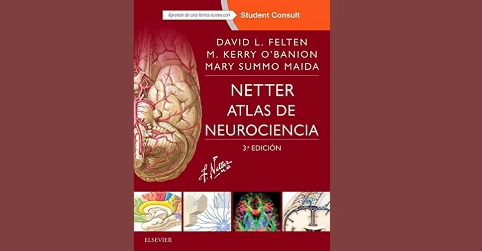 Netter. Atlas de Neurociencia. III Edición. PDF