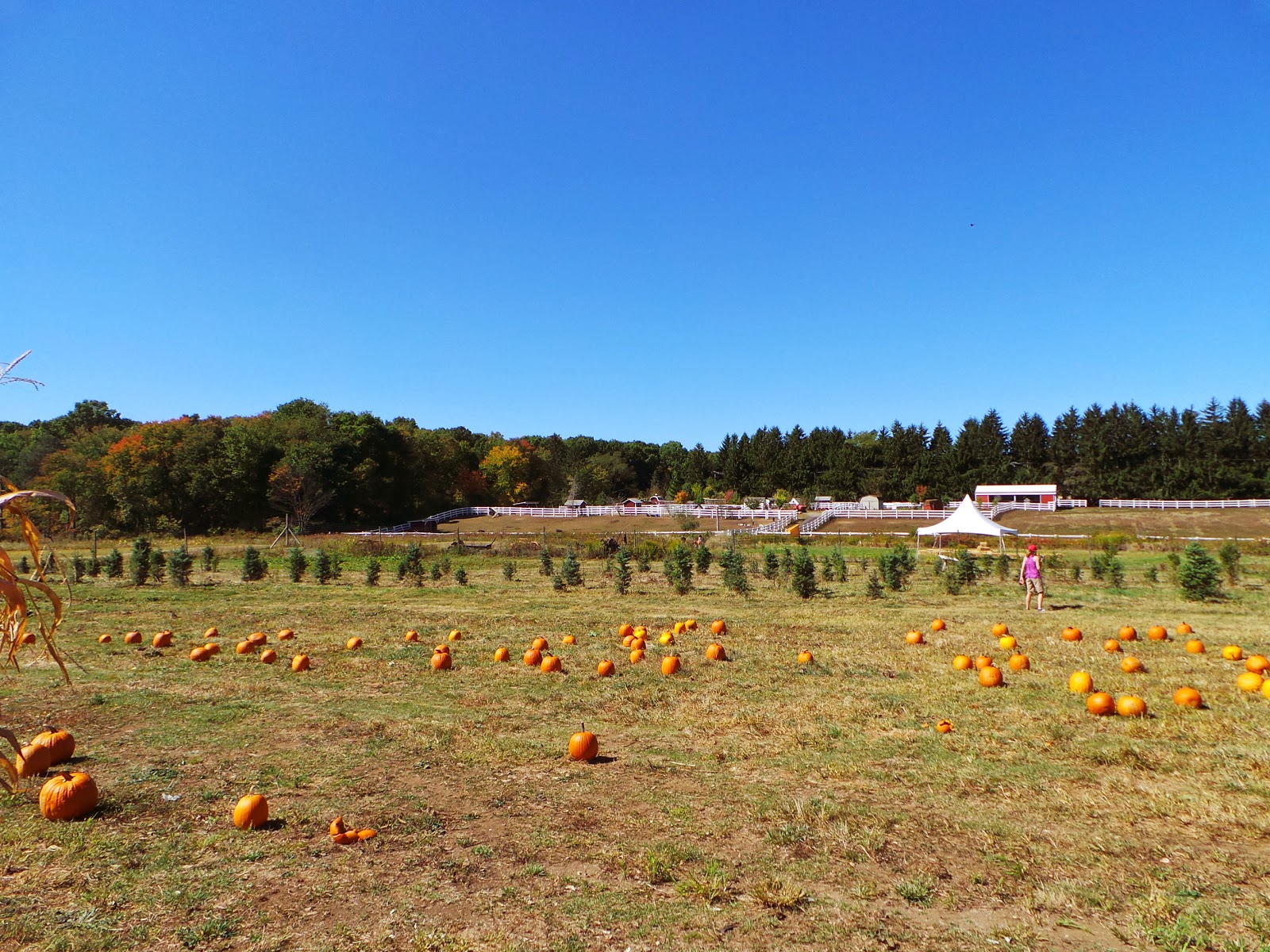 New Jersey and You Perfect Together, Liberty and