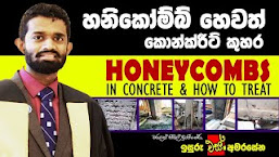 Structural Advice : Honeycomb repairing