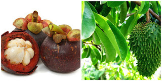 Obat Herbal Untuk Tekanan Darah Tinggi / Hipertensi Terampuh Obat Herbal Untuk Tekanan Darah Tinggi / Hipertensi Terampuh