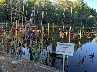 colored PVC piping was added to the Sculpture Park "trees of life" 2