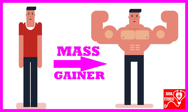 8 Best Mass Gainers in India 2020 8 Best Mass Gainers in India 2020