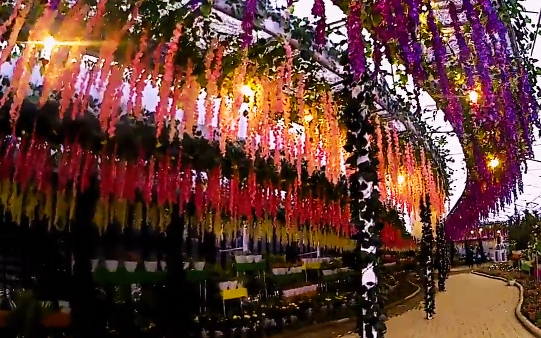 Flora Wisata San Terra Harga Tiket Masuk Dan Alamat Lokasi