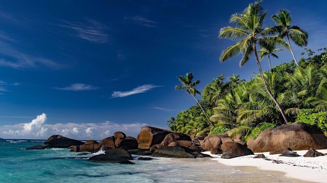 Tropical summer beach wallpaper Tropical summer beach wallpaper