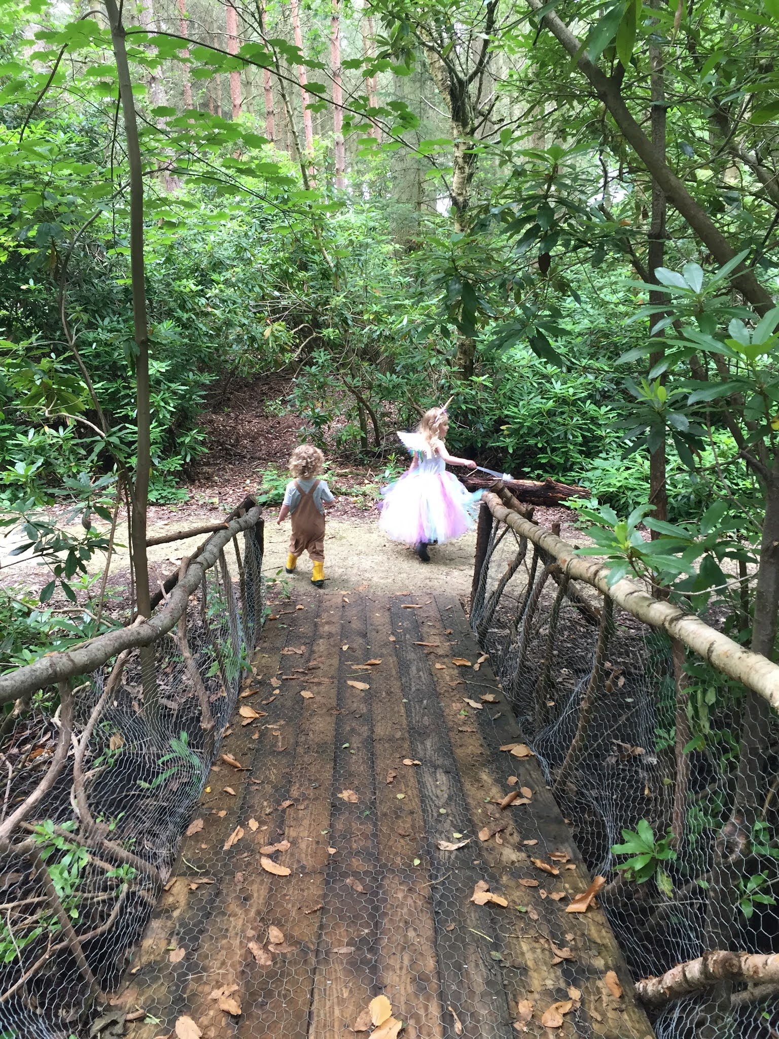 Finding magic at Northwood Fairy Trail The Inspiration Highway